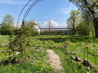 Blick durch einenn metallenen Rosenbogen ohne Rosen auf das Steinlabyrinth mit Löwenzahn und Bäumen