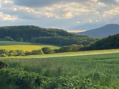 Ein Feld in der Abendsonne