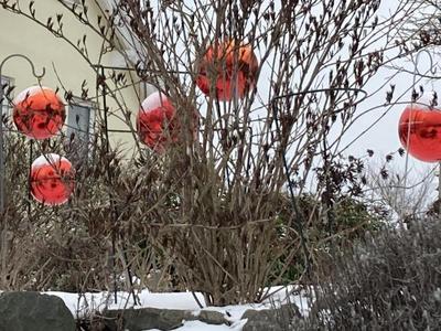 Rote Gartenkugeln an Strauch